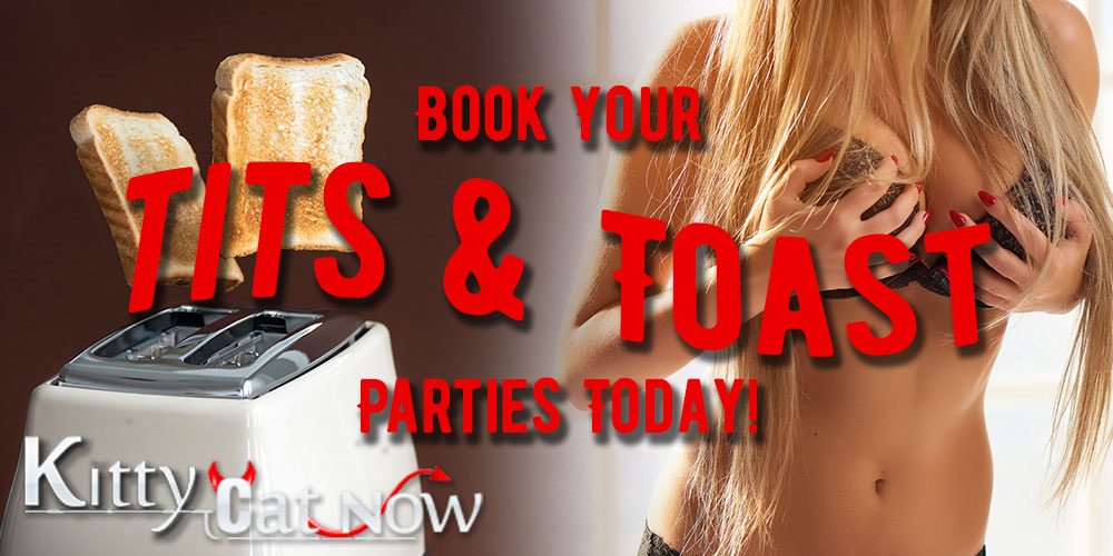 Book Your Yacht Party Today-Kitty Cat Now New Orleans